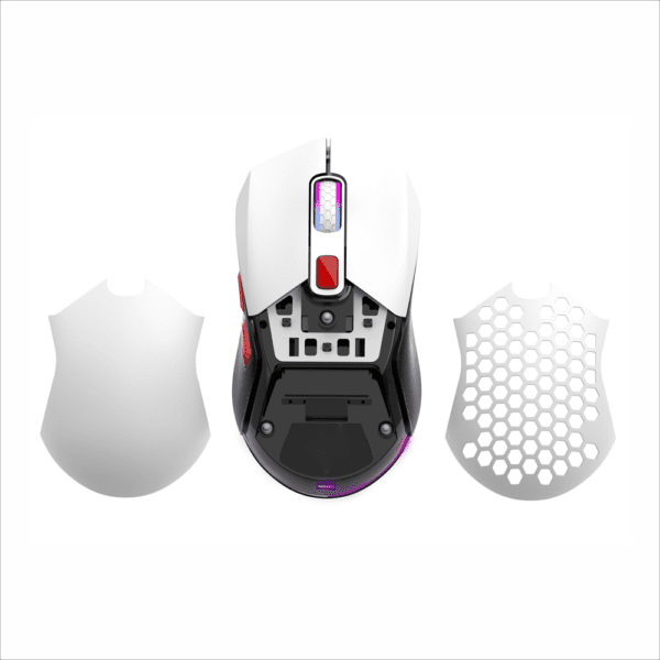 MW501 Wireless Mouse-Dual Mode - Image 6